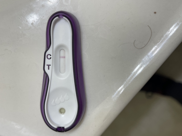 Home Pregnancy Test