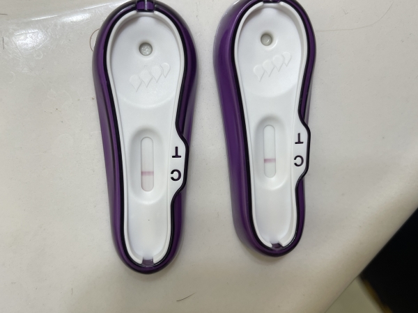 Home Pregnancy Test