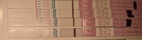 Home Pregnancy Test