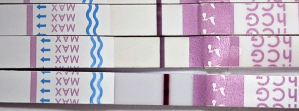 Home Pregnancy Test