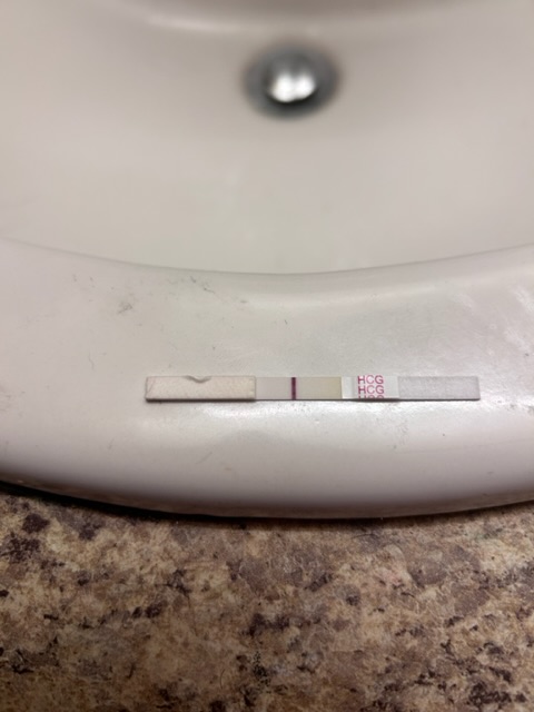 New Choice Pregnancy Test