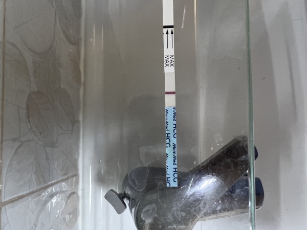 MomMed Pregnancy Test, 8 Days Post Ovulation, Cycle Day 27