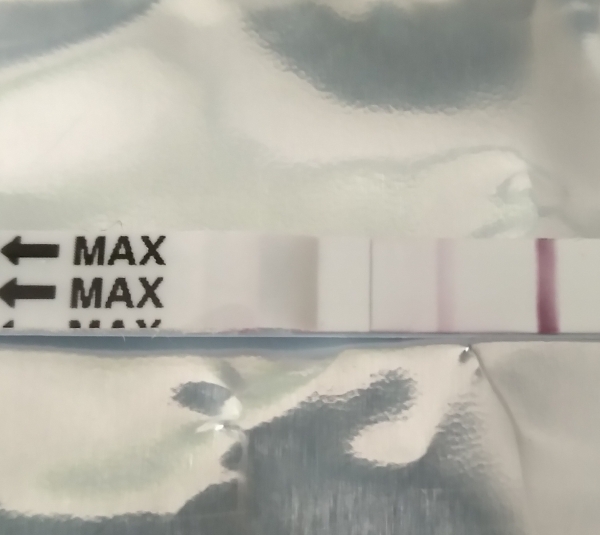 Clinical Guard Pregnancy Test, 14 Days Post Ovulation, FMU