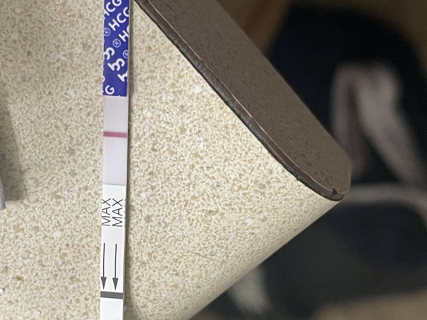 Home Pregnancy Test
