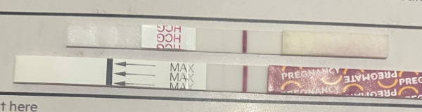 Pregmate Pregnancy Test, 10 Days Post Ovulation, FMU