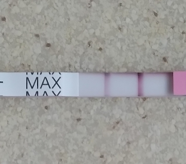 Clinical Guard Pregnancy Test, 12 Days Post Ovulation, FMU