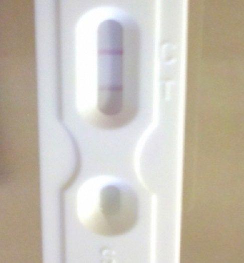 New Choice Pregnancy Test, 12 Days Post Ovulation, FMU