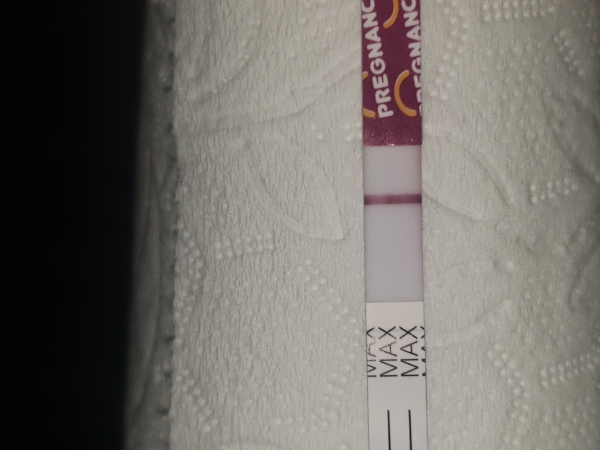 Home Pregnancy Test
