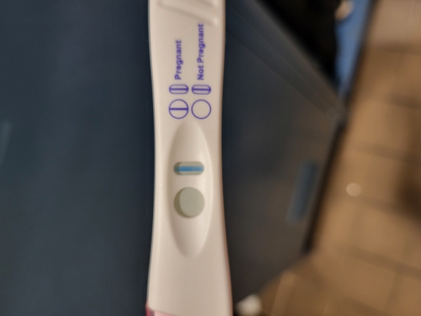 Home Pregnancy Test