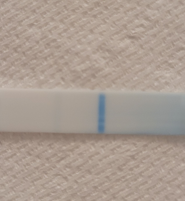 Home Pregnancy Test
