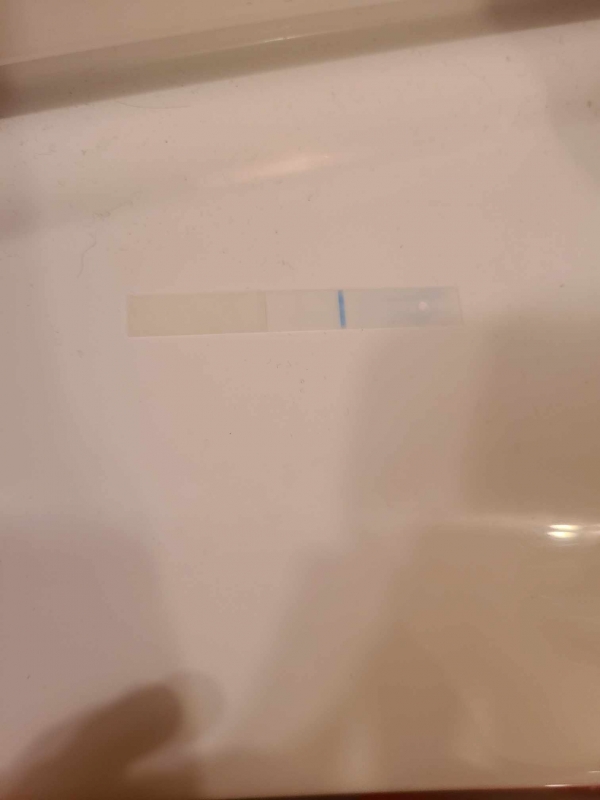 Home Pregnancy Test