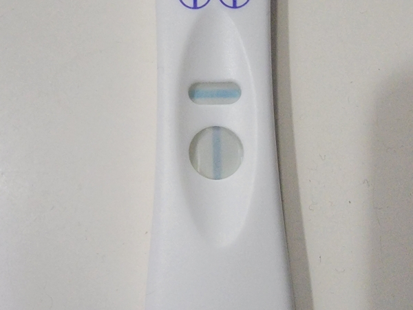 Home Pregnancy Test