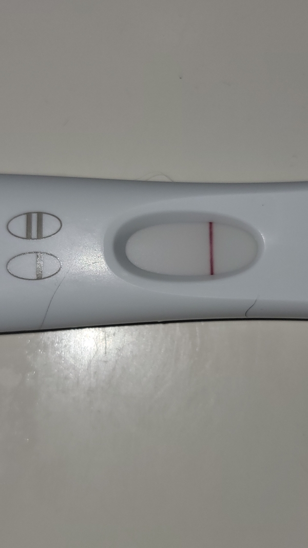 Home Pregnancy Test