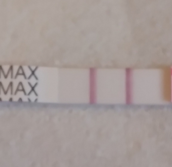 Generic Pregnancy Test, 15 Days Post Ovulation, FMU