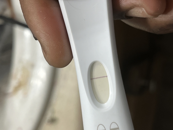 Home Pregnancy Test