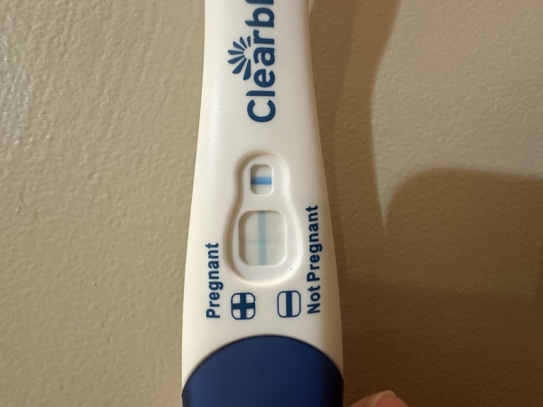 Home Pregnancy Test