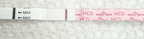 Home Pregnancy Test