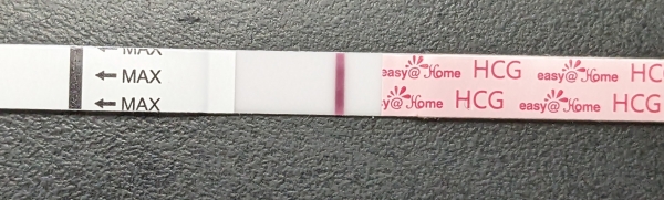 Home Pregnancy Test