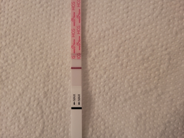 Home Pregnancy Test