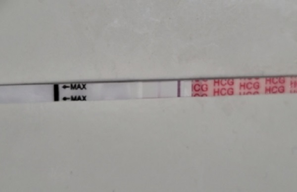 Generic Pregnancy Test, 11 Days Post Ovulation, FMU