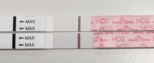 Home Pregnancy Test