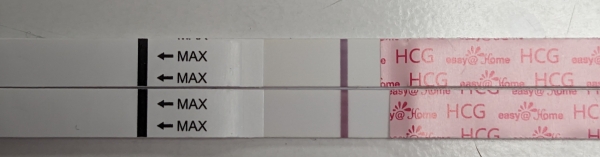 Home Pregnancy Test