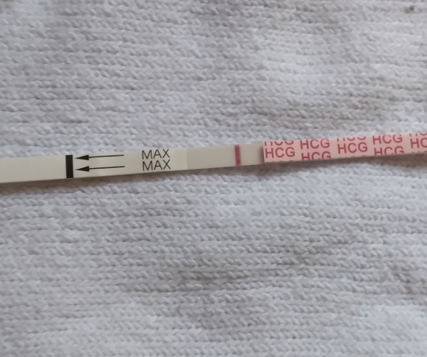 AccuMed Pregnancy Test, 9 Days Post Ovulation, FMU