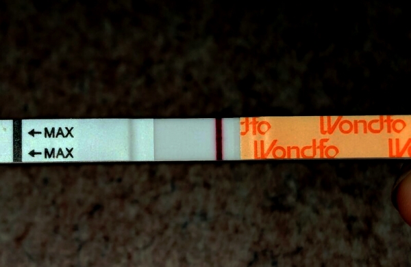 Home Pregnancy Test