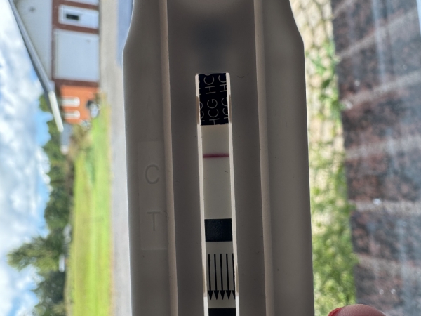 New Choice Pregnancy Test