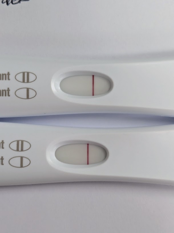 Home Pregnancy Test