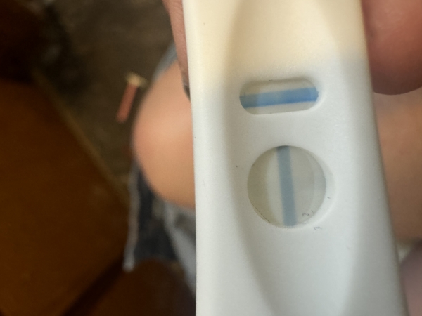 Equate One Step Pregnancy Test