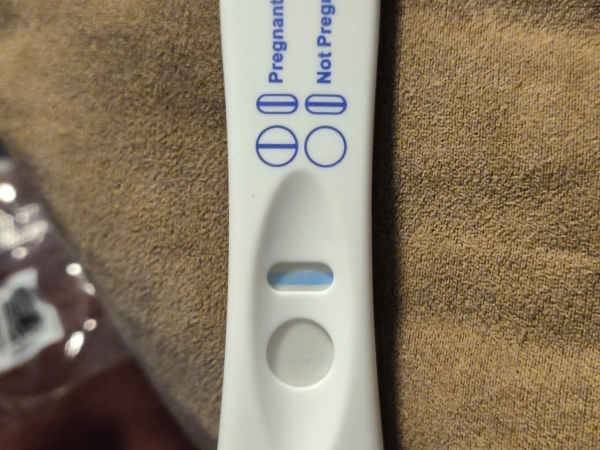 Equate One Step Pregnancy Test, 19 Days Post Ovulation, Cycle Day 39