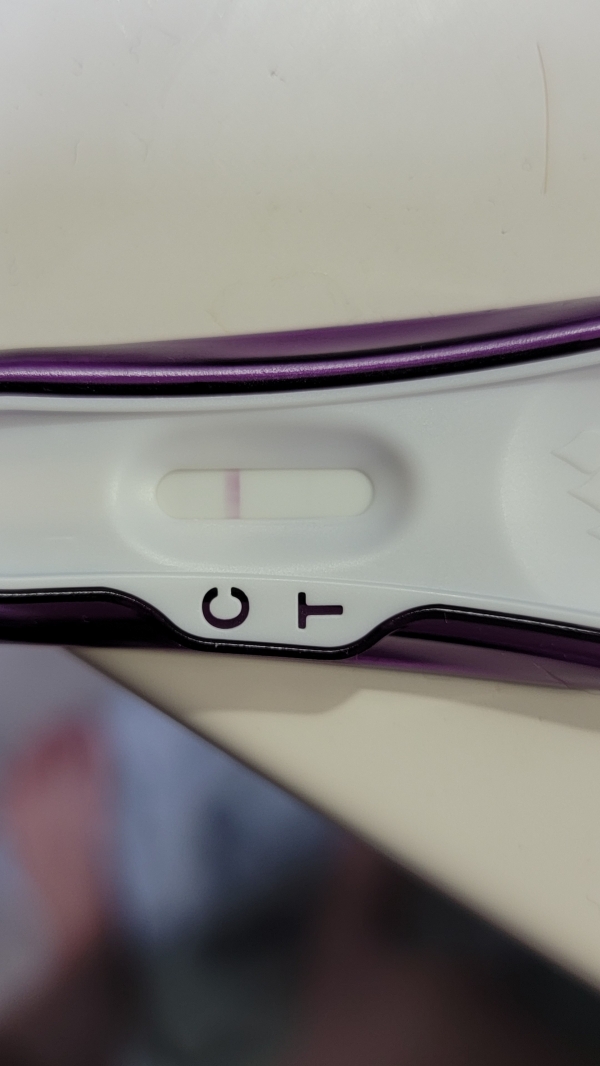 Home Pregnancy Test
