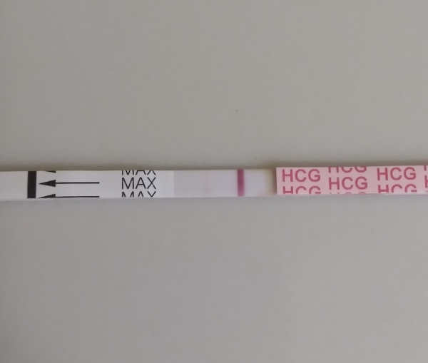 Generic Pregnancy Test, 16 Days Post Ovulation, FMU