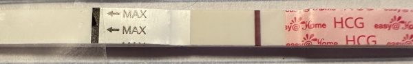 Easy-At-Home Pregnancy Test