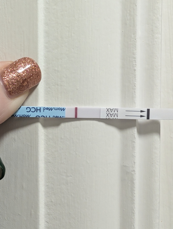 Home Pregnancy Test
