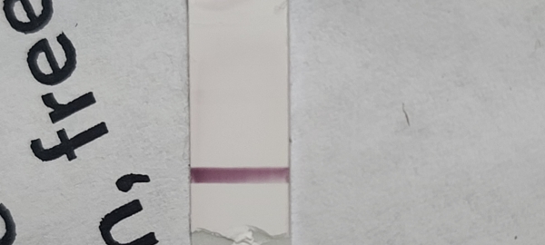 Home Pregnancy Test