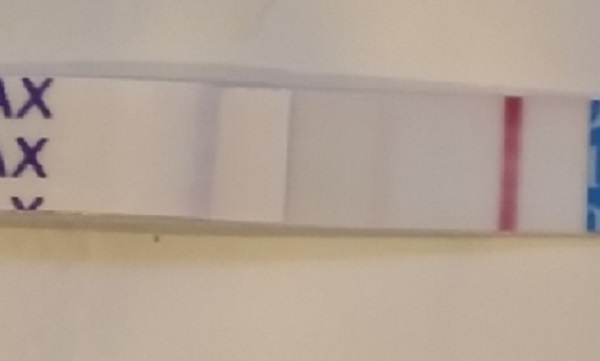 Generic Pregnancy Test, 10 Days Post Ovulation