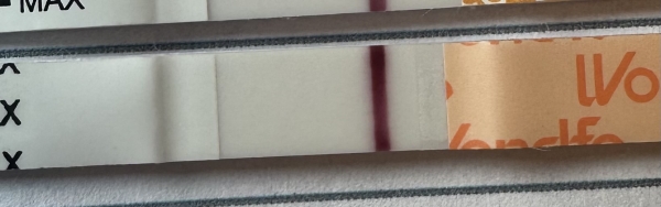 Wondfo Test Strips Pregnancy Test, 10 Days Post Ovulation