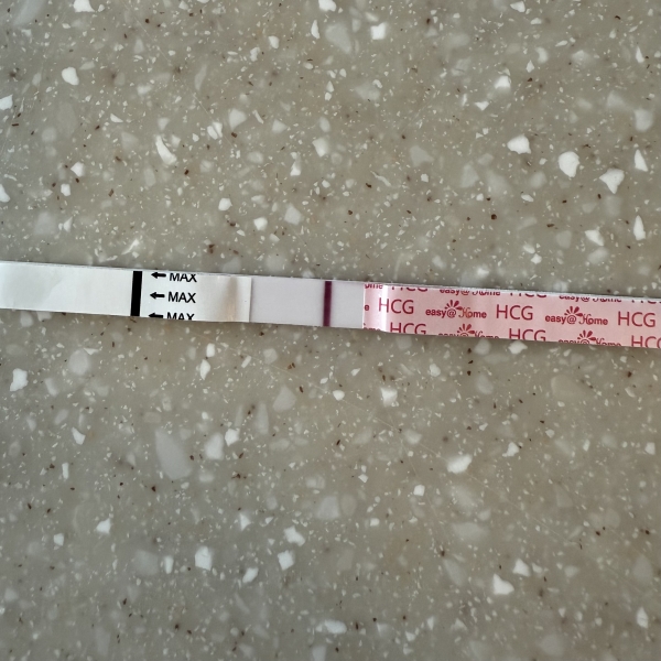 Home Pregnancy Test