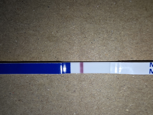 Home Pregnancy Test, 10 Days Post Ovulation, FMU, Cycle Day 31
