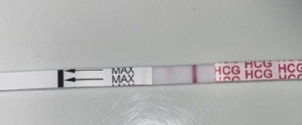 Generic Pregnancy Test, 11 Days Post Ovulation, FMU
