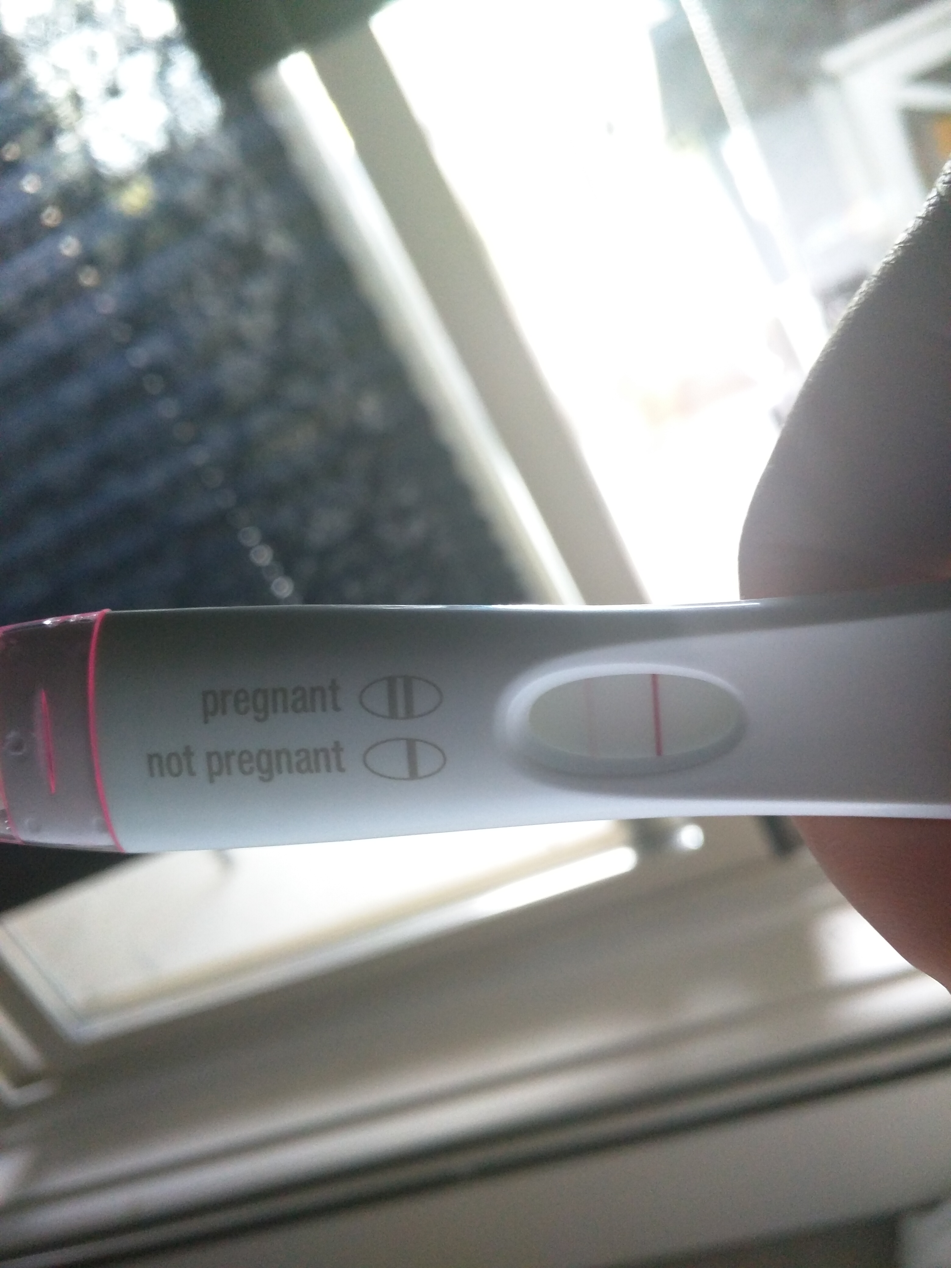 First Response Early Pregnancy Test