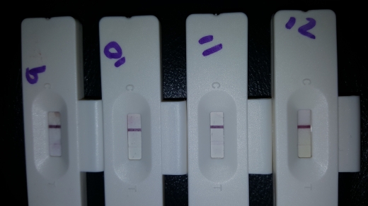 New Choice Pregnancy Test, 12 Days Post Ovulation