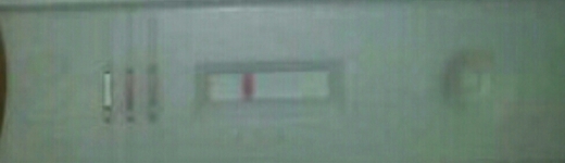 New Choice Pregnancy Test, FMU