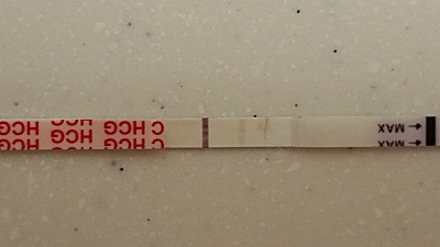 Wondfo Test Strips Pregnancy Test