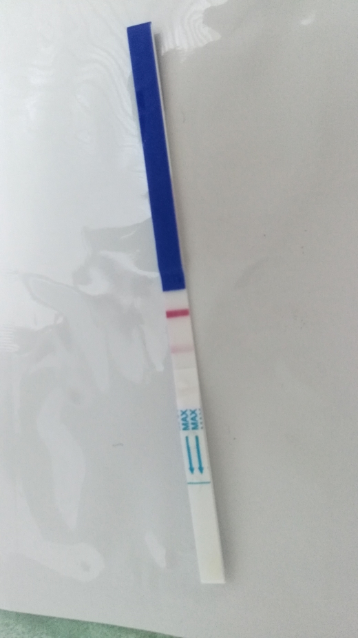 Home Pregnancy Test, FMU