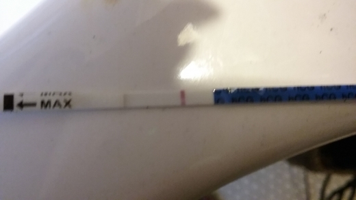 Wondfo Test Strips Pregnancy Test, 12 Days Post Ovulation, Cycle Day 29