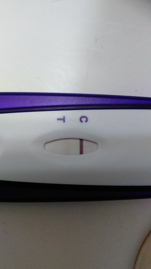 Home Pregnancy Test