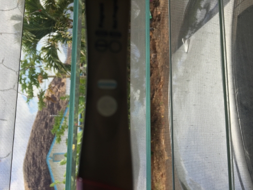 CVS Early Result Pregnancy Test, 10 Days Post Ovulation